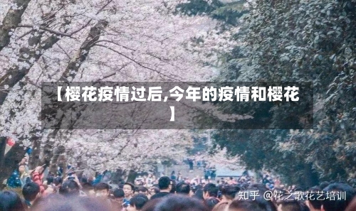 【樱花疫情过后,今年的疫情和樱花】