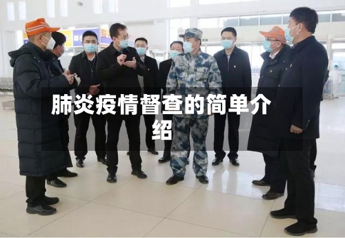 肺炎疫情督查的简单介绍-第2张图片