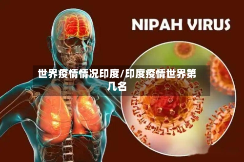 世界疫情情况印度/印度疫情世界第几名