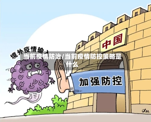 当前疫情防治/当前疫情防控策略是什么