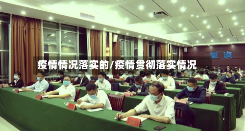 疫情情况落实的/疫情贯彻落实情况-第2张图片