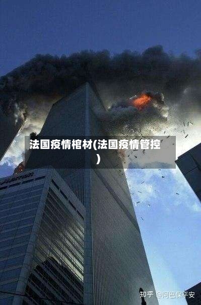 法国疫情棺材(法国疫情管控)-第3张图片
