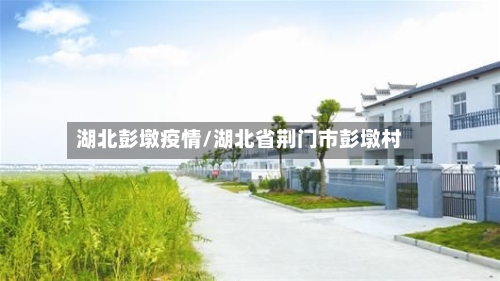 湖北彭墩疫情/湖北省荆门市彭墩村-第2张图片