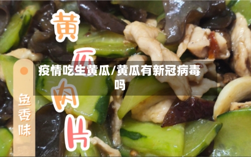 疫情吃生黄瓜/黄瓜有新冠病毒吗-第2张图片