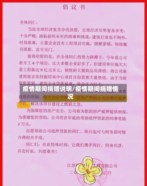 疫情期间捐赠说明/疫情期间捐赠情况-第3张图片