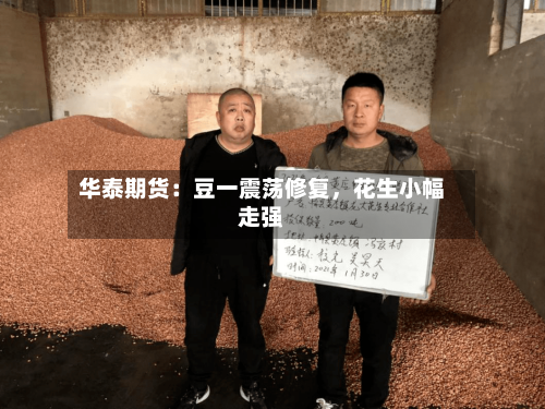 华泰期货：豆一震荡修复	，花生小幅走强-第3张图片