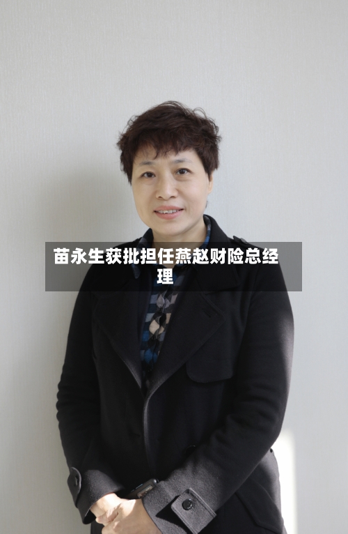 苗永生获批担任燕赵财险总经理