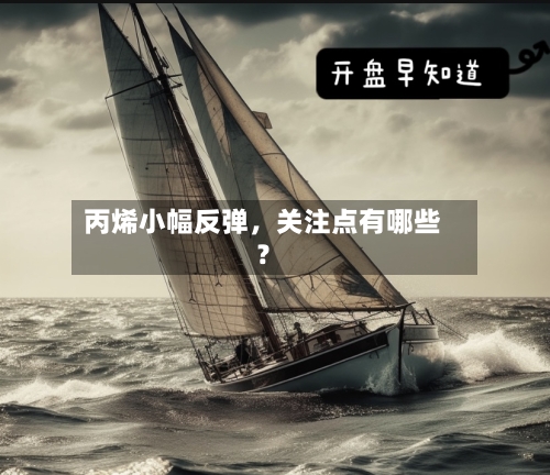 丙烯小幅反弹，关注点有哪些？