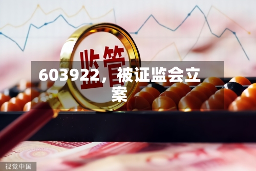 603922，被证监会立案-第3张图片
