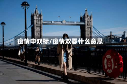 疫情中双标/疫情双零什么意思