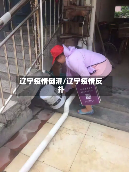 辽宁疫情倒灌/辽宁疫情反扑-第2张图片