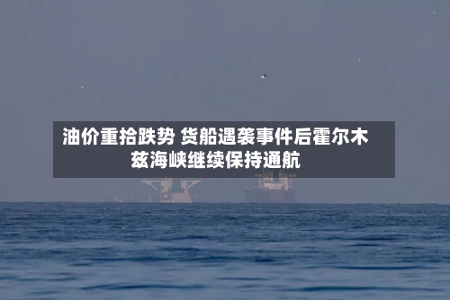 油价重拾跌势 货船遇袭事件后霍尔木兹海峡继续保持通航