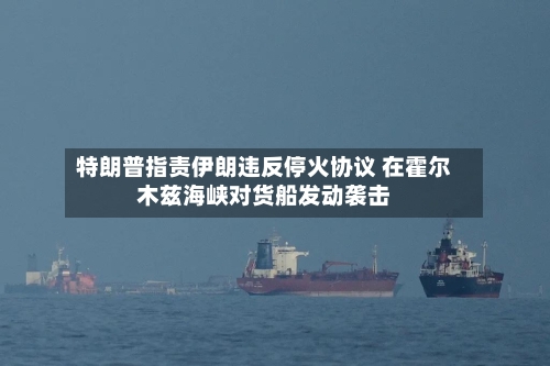 特朗普指责伊朗违反停火协议 在霍尔木兹海峡对货船发动袭击