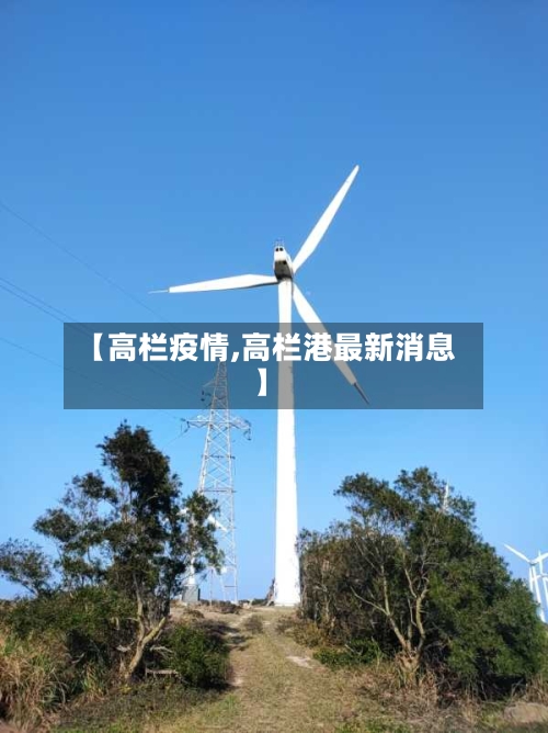 【高栏疫情,高栏港最新消息】