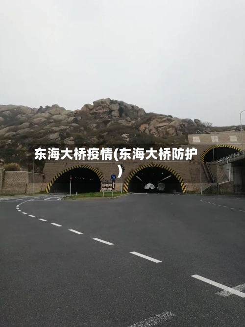东海大桥疫情(东海大桥防护)