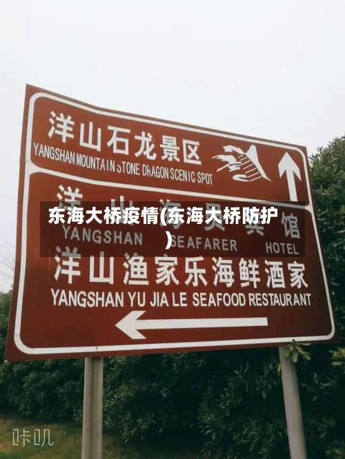 东海大桥疫情(东海大桥防护)-第3张图片