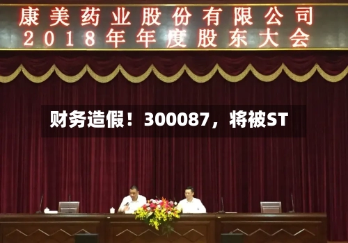 财务造假！300087，将被ST-第2张图片