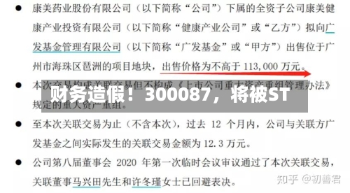 财务造假！300087，将被ST