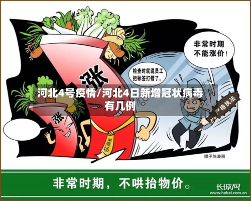 河北4号疫情/河北4日新增冠状病毒有几例-第2张图片