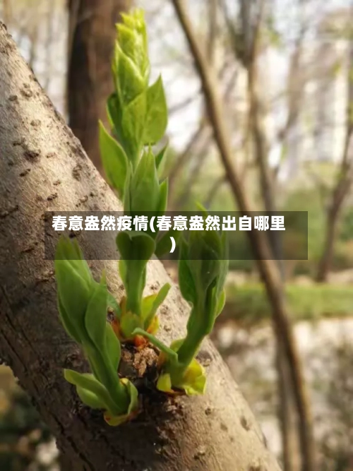 春意盎然疫情(春意盎然出自哪里)