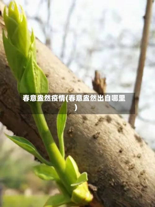 春意盎然疫情(春意盎然出自哪里)-第3张图片