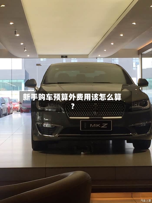 新手购车预算外费用该怎么算？-第2张图片