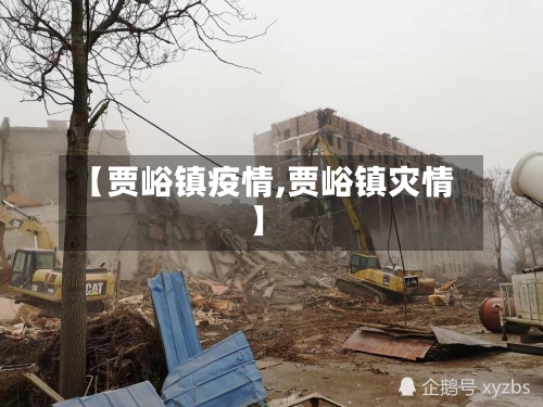 【贾峪镇疫情,贾峪镇灾情】-第2张图片