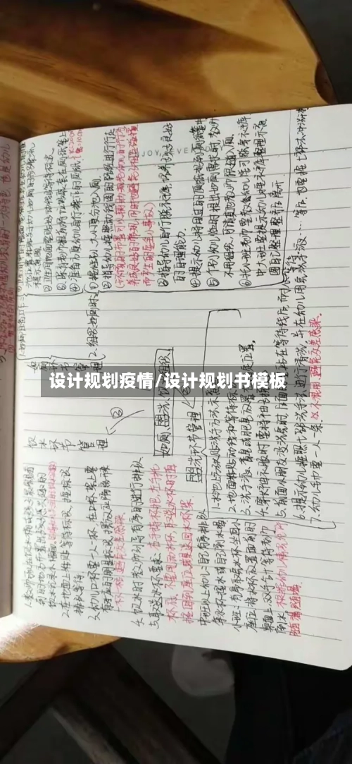 设计规划疫情/设计规划书模板