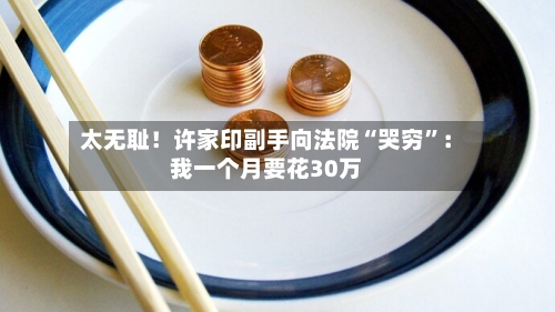 太无耻！许家印副手向法院“哭穷”：我一个月要花30万-第2张图片