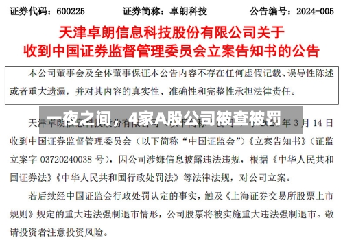 一夜之间，4家A股公司被查被罚-第2张图片