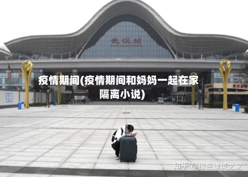 疫情期间(疫情期间和妈妈一起在家隔离小说)