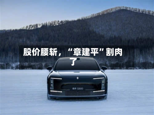 股价腰斩	，“章建平	”割肉了-第2张图片