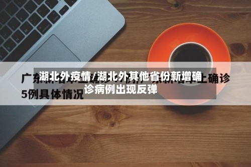 湖北外疫情/湖北外其他省份新增确诊病例出现反弹