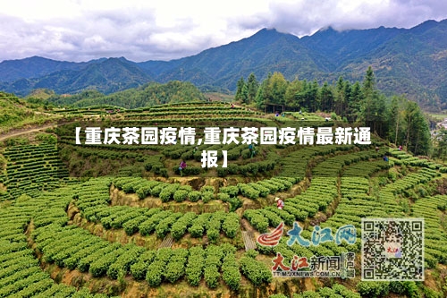 【重庆茶园疫情,重庆茶园疫情最新通报】-第3张图片
