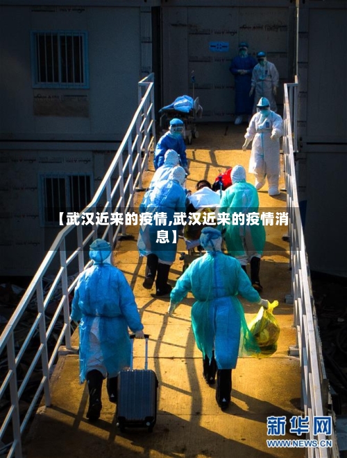 【武汉近来的疫情,武汉近来的疫情消息】-第2张图片