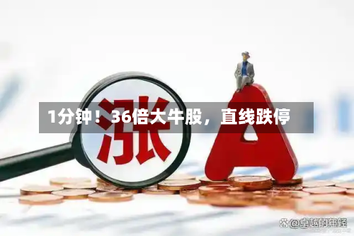 1分钟！36倍大牛股，直线跌停-第2张图片