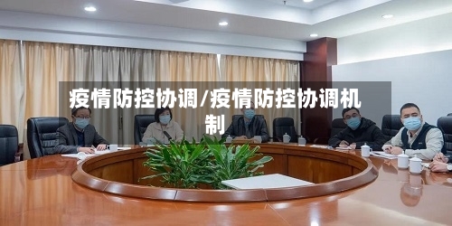 疫情防控协调/疫情防控协调机制-第2张图片