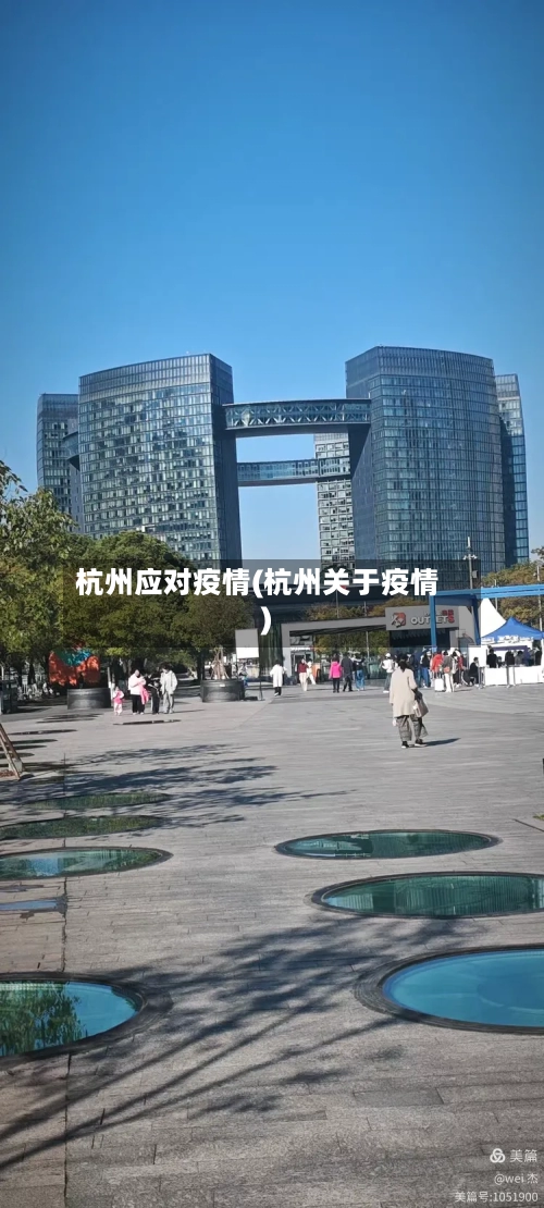 杭州应对疫情(杭州关于疫情)-第3张图片