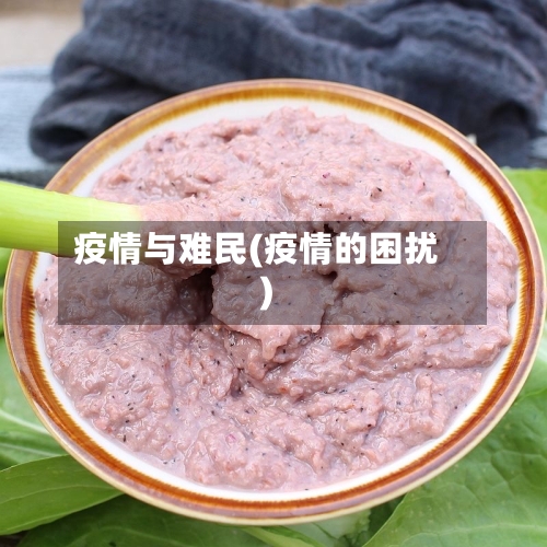 疫情与难民(疫情的困扰)-第3张图片