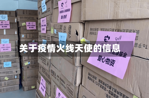关于疫情火线天使的信息