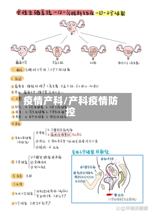 疫情产科/产科疫情防控-第2张图片