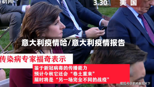 意大利疫情哈/意大利疫情报告-第2张图片