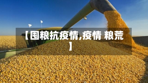 【囤粮抗疫情,疫情 粮荒】-第2张图片