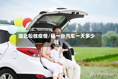 湖北松枝疫情/租一台汽车一天多少钱-第2张图片