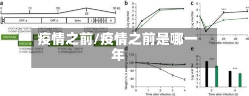 疫情之前/疫情之前是哪一年