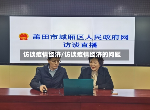 访谈疫情经济/访谈疫情经济的问题