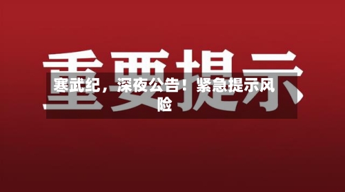 寒武纪，深夜公告！紧急提示风险-第2张图片