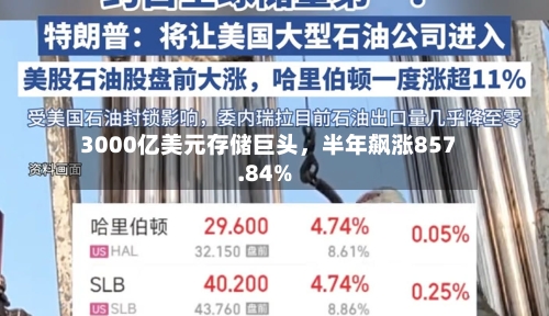 3000亿美元存储巨头，半年飙涨857.84%