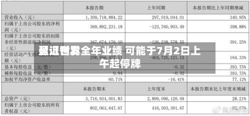 盈证世界延迟刊发全年业绩 可能于7月2日上午起停牌-第3张图片