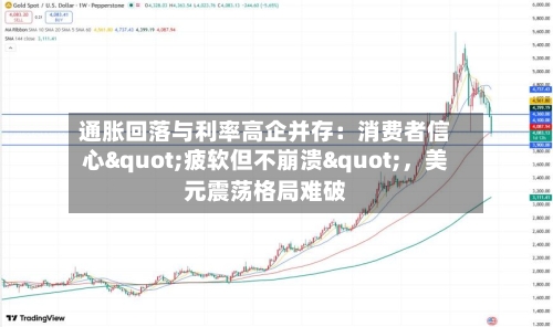 通胀回落与利率高企并存：消费者信心"疲软但不崩溃"，美元震荡格局难破-第3张图片